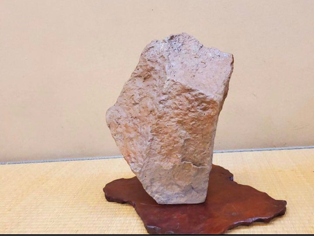 （No122）山野草　水草　鉢　龍聖作　令6