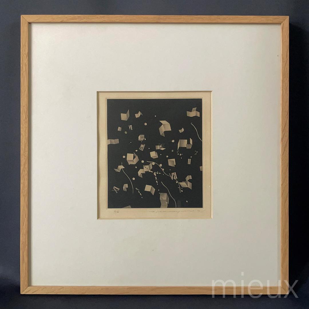 中林忠良「Position 黒の方位」エッチング 額付 サイン入り 中古