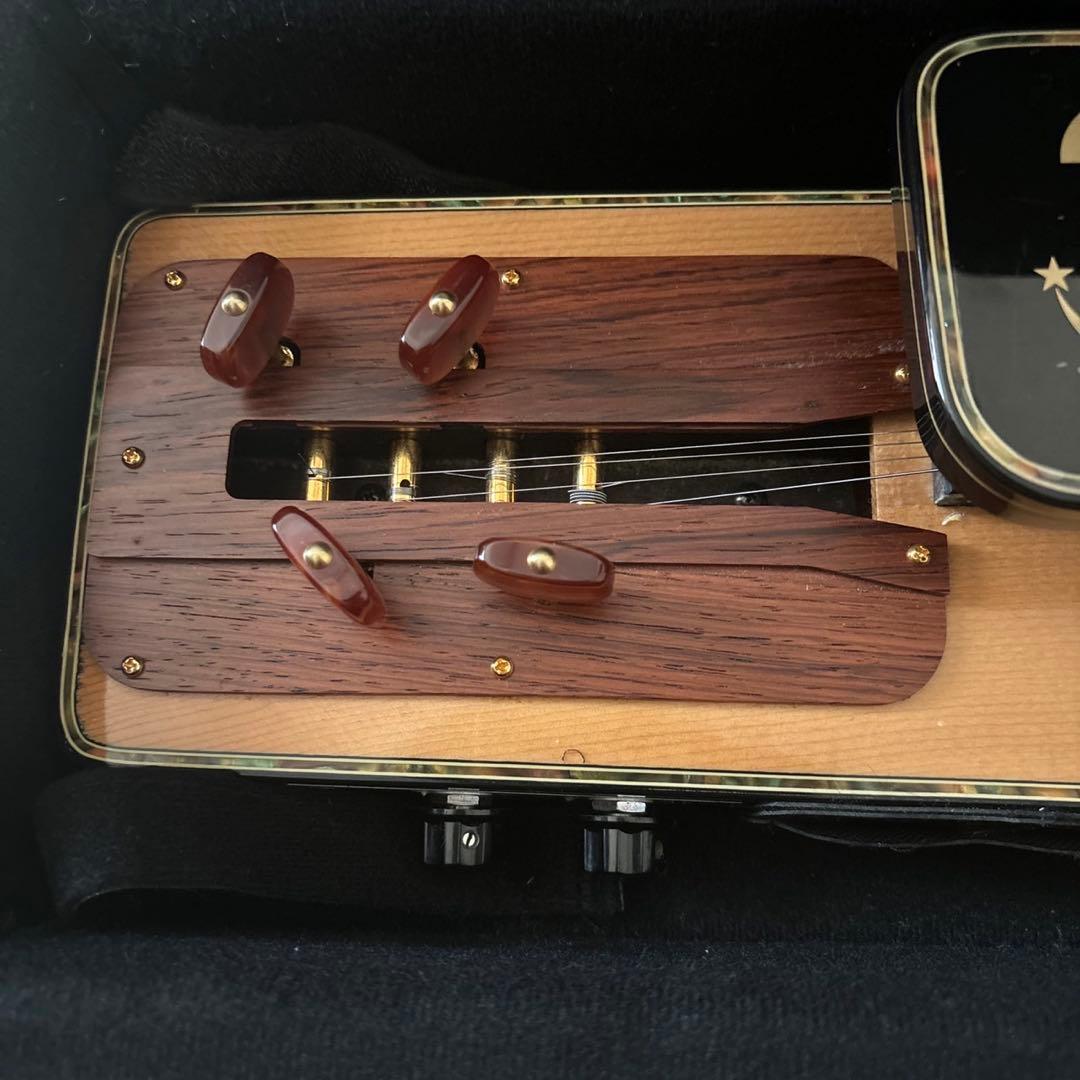 LYRISH ライリッシュ VEGA ベガ　ソプラノ　エレキ大正琴 OD113