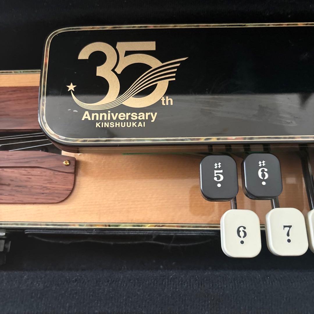 LYRISH ライリッシュ VEGA ベガ　ソプラノ　エレキ大正琴 OD113