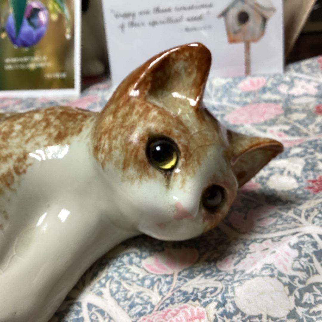 ウィンスタンレイキャットサイズ4の超美人猫SaksFifthAvenue貴重な子