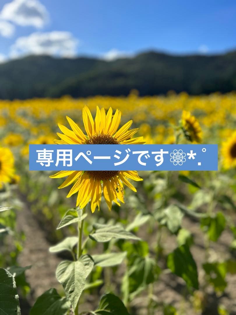 あい お花モチーフ巾着ポーチ・ファスナーポーチ