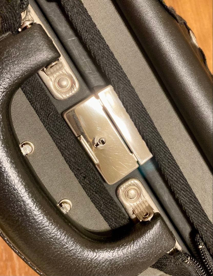 バイオリンケース GEWA