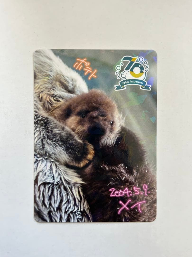 鳥羽水族館　コレクションカード　メイ　レアカード　ラッコ