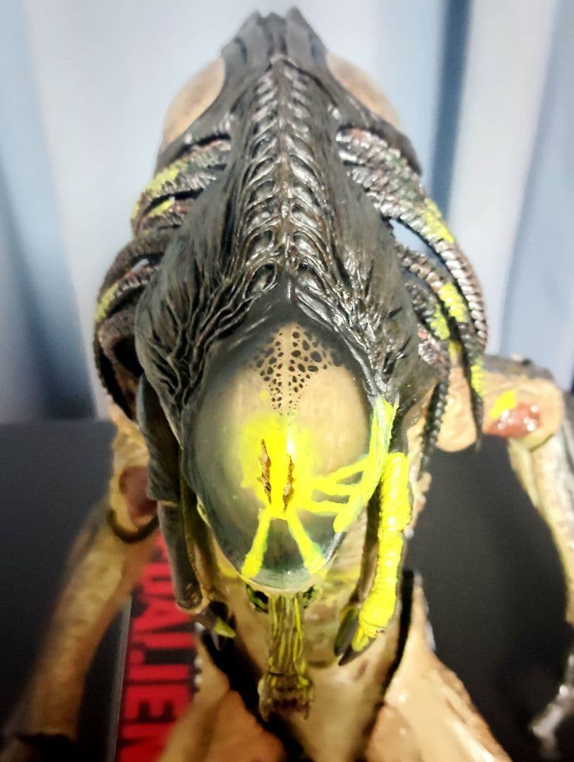 2008.HOTTOYS.MM#074“AVP2 Predalien”