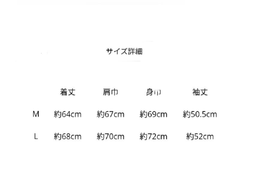 登坂広臣INFINITY MOON LS Tee ~THE FUSION~L