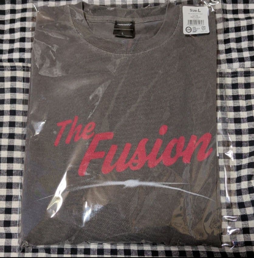 登坂広臣INFINITY MOON LS Tee ~THE FUSION~L