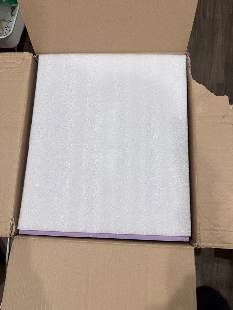 渋谷スクランブル 鬼レム Crystal Dress Ver