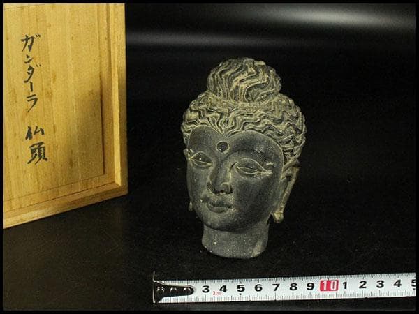 仏教美術 ガンダーラ仏頭(K-XA903)