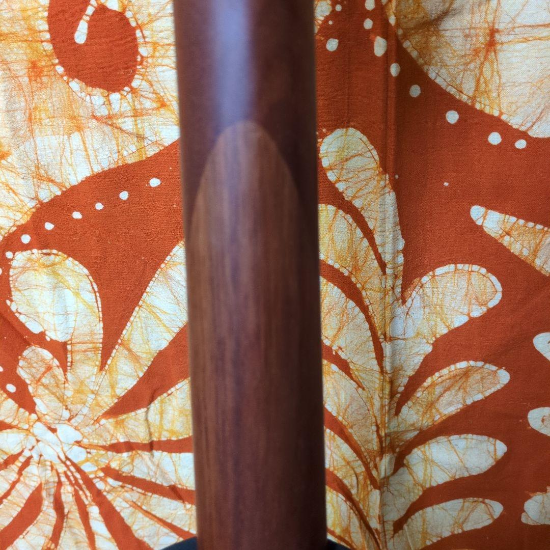 【極美品】ARIA 101 アコースティックギター ハードケース付き