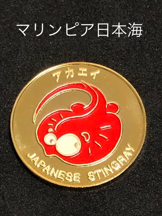 水族館4☆新潟★マリンピア日本海9☆アカエイ★記念メダル☆茶平工業