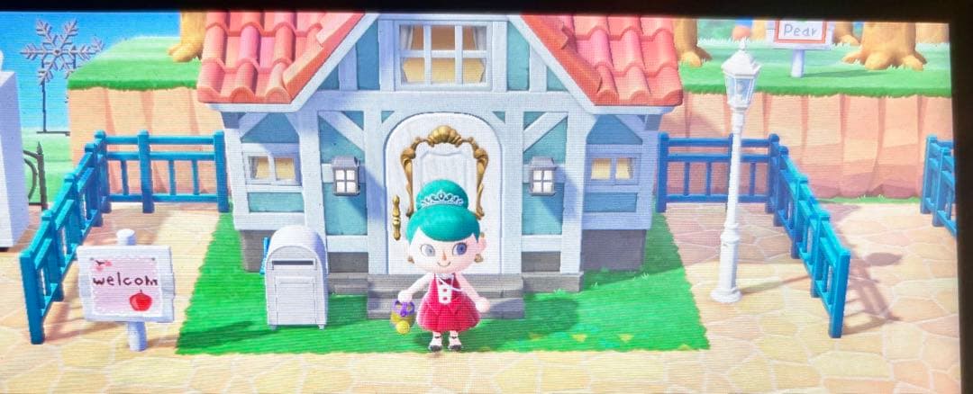 Nintendo Switchあつまれどうぶつの森マリオカート8デラックスセット