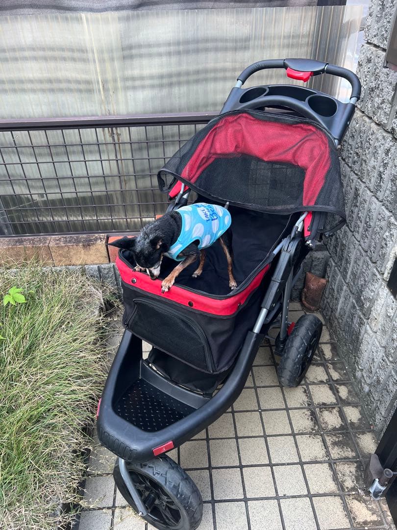 大きめ　ペットバギー　犬　ペットカート　耐荷重25kg