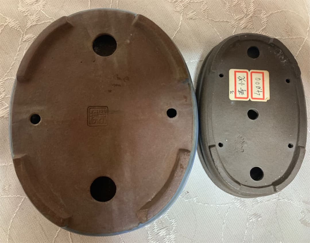 4点セット！（寿悦　松寿　柴勝…）