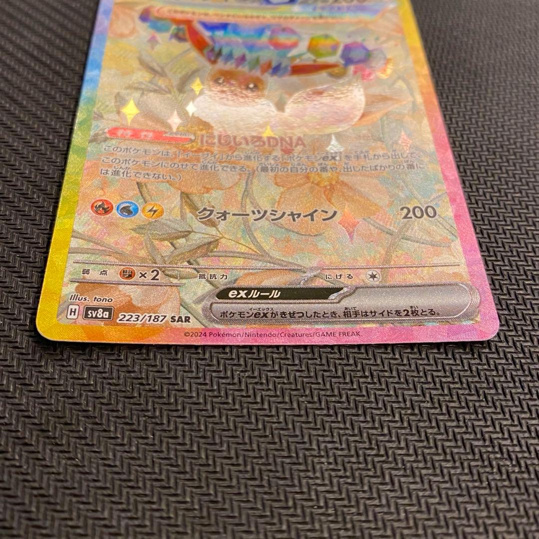 早い者勝ちテラスタルフェス　イーブイex SAR サンダースex SAR 計2枚