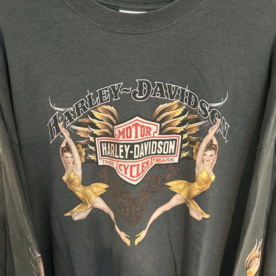 辺乃90s USA製ヴィンテージ　Harley-Davidson 袖フレイ