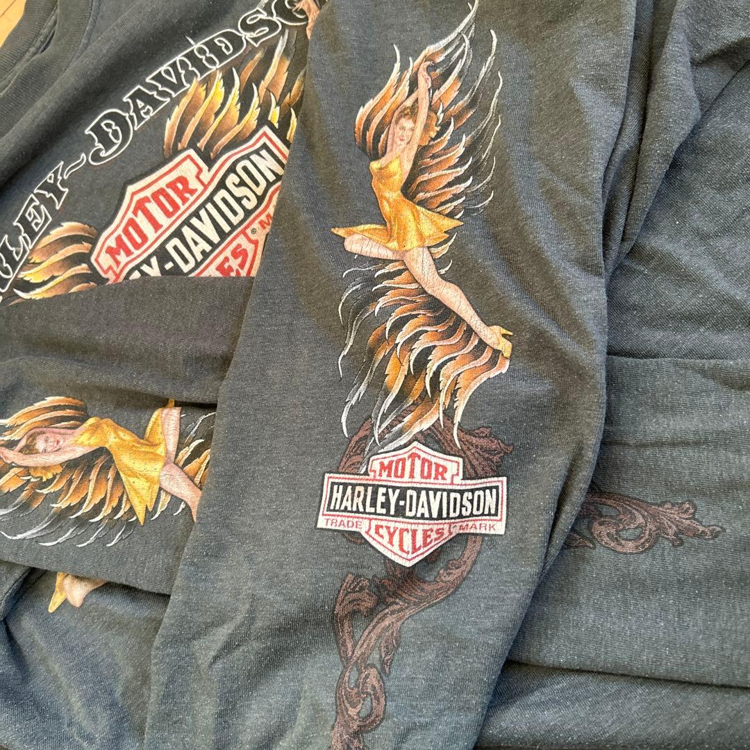 辺乃90s USA製ヴィンテージ　Harley-Davidson 袖フレイ