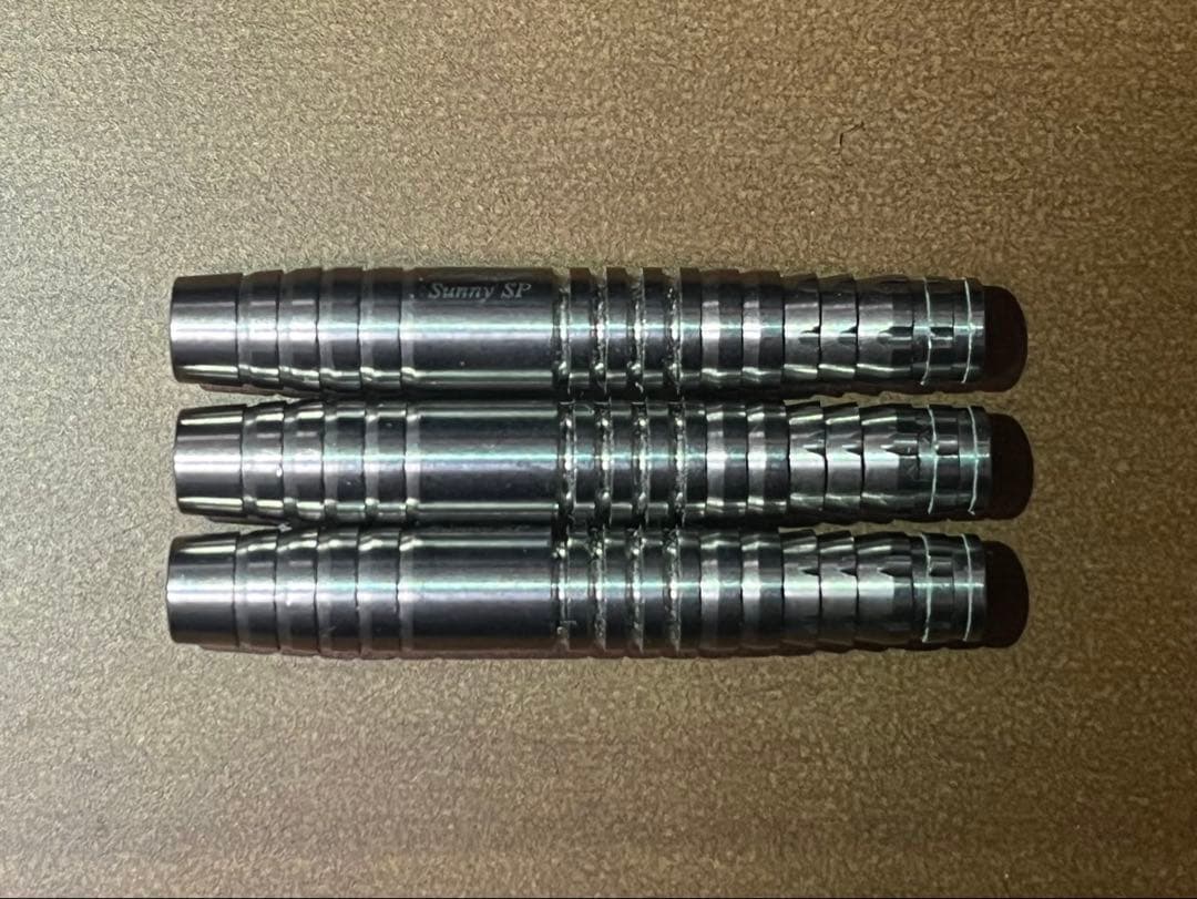 【ディーエムシー】セイバー Sunny SP3 龍波光彦モデル 2BA