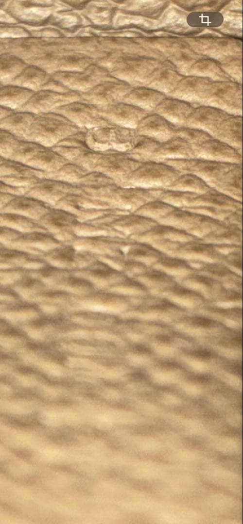 エルメス　バスティア　ケース　新品未使用