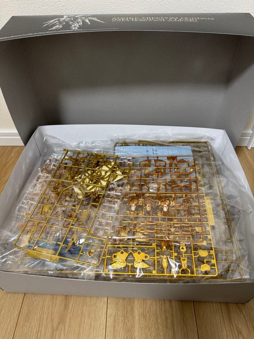 【送料込み】MGEX ストライクフリーダム　メカニカルクリア