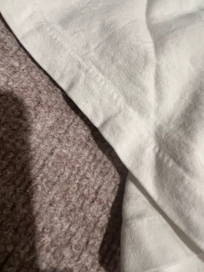 Dinosaur Jr. Tシャツ　ヘインズ USA製