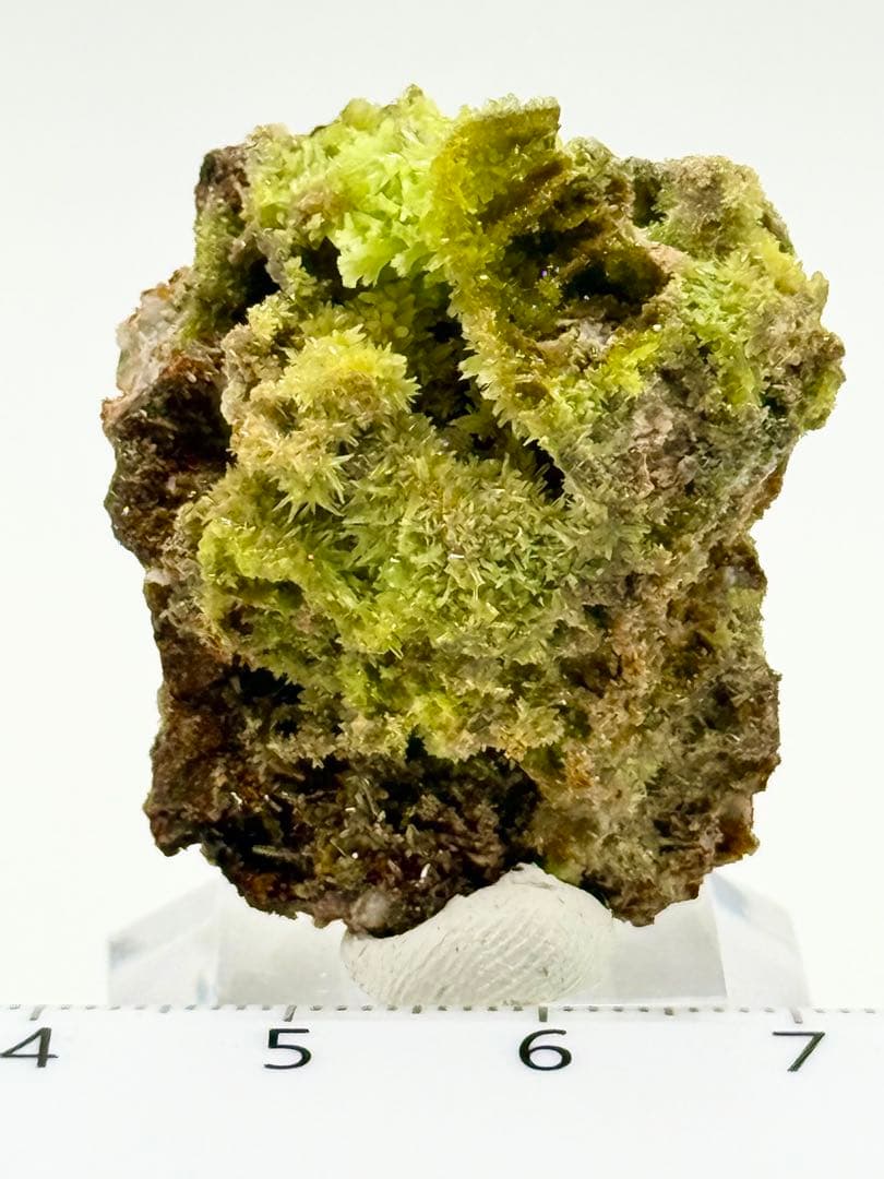 パイロモルファイト　緑鉛鉱　原石　鉱物標本　天然石　鉱石