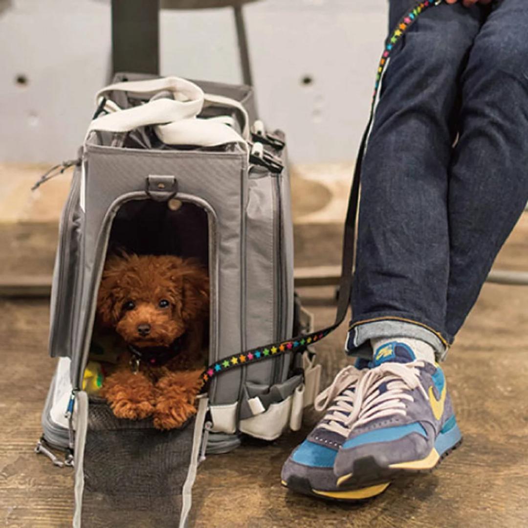 未使用●GRAMP グランプ● リュック型ペットキャリー 愛犬・愛猫 防災に！！