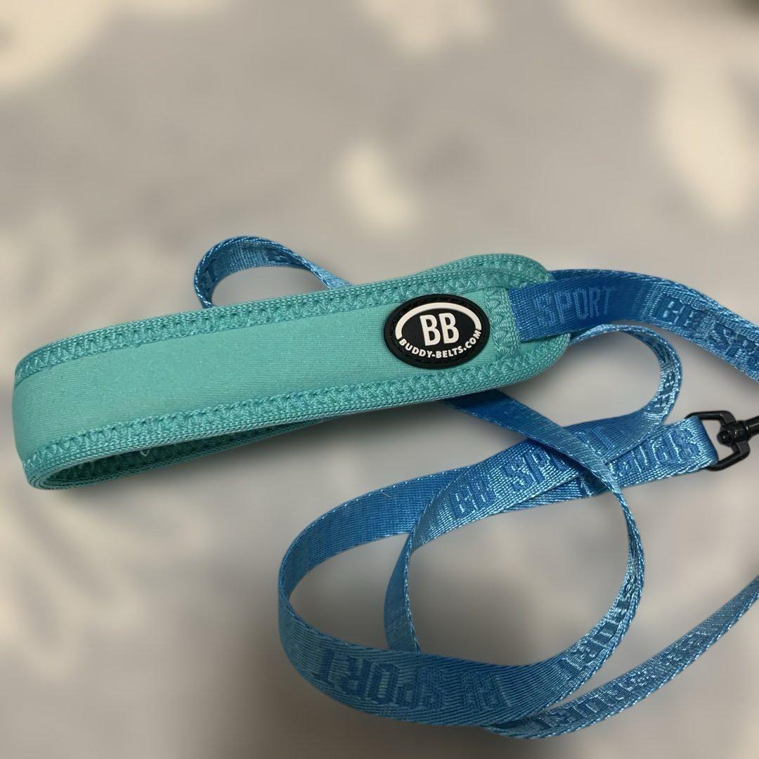 バディベルト　BBスポーツブルー　サイズ3.5 リードセット