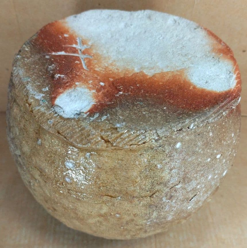 杉本貞光 信楽掛花入(信楽蹲壷）裏千家十五代 鵬雲斎 書付 共箱 寺垣外窯 美品