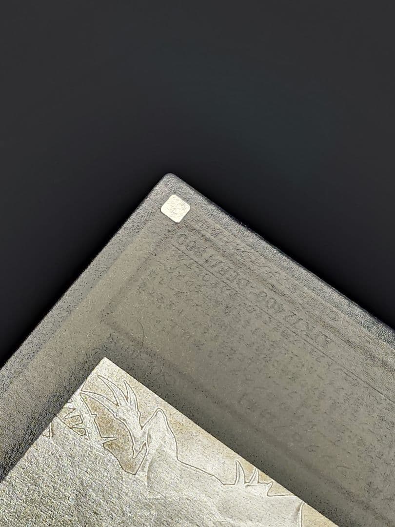 ブラック・ローズ・ドラゴン ホロ