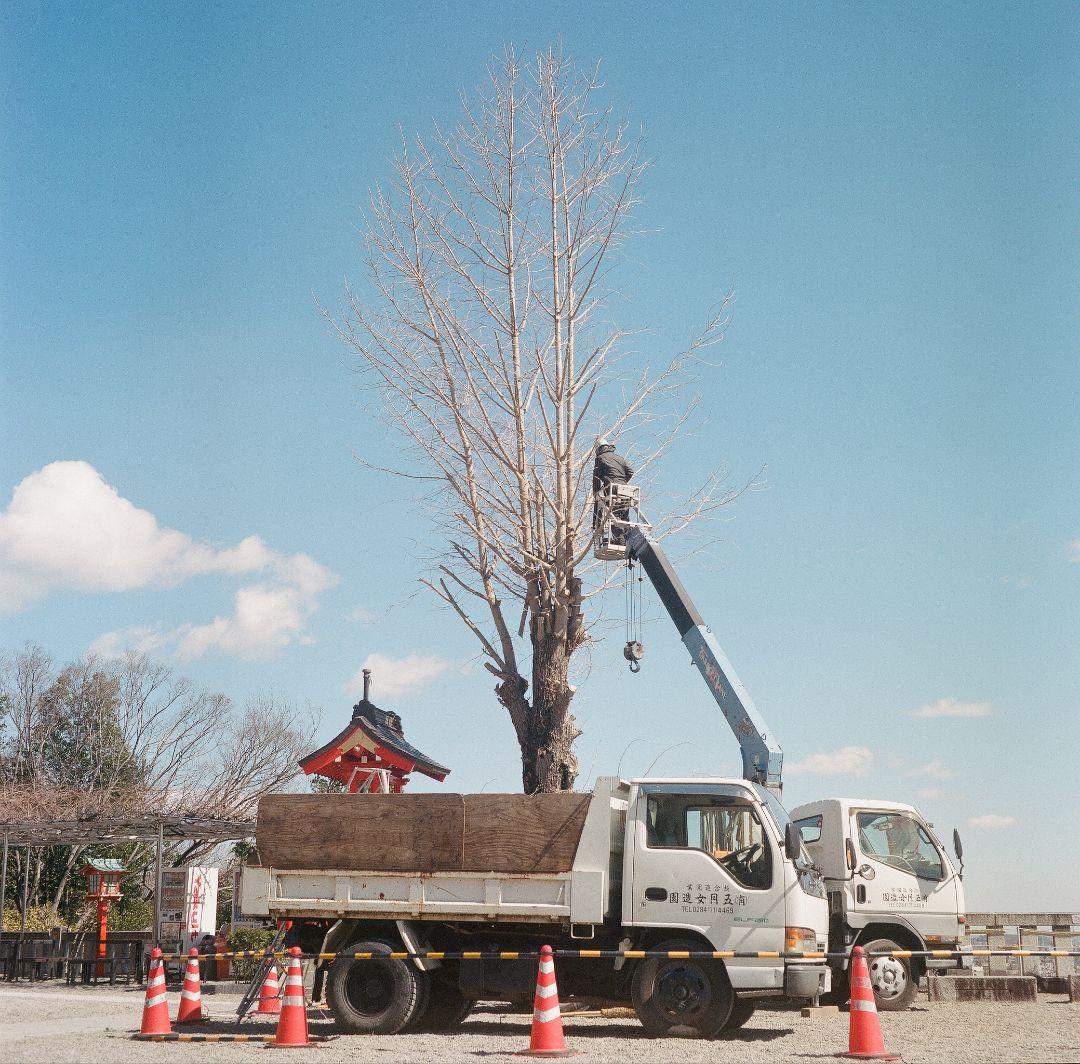 Super Fujica 6 75mm f3.5 「週末限定価格」