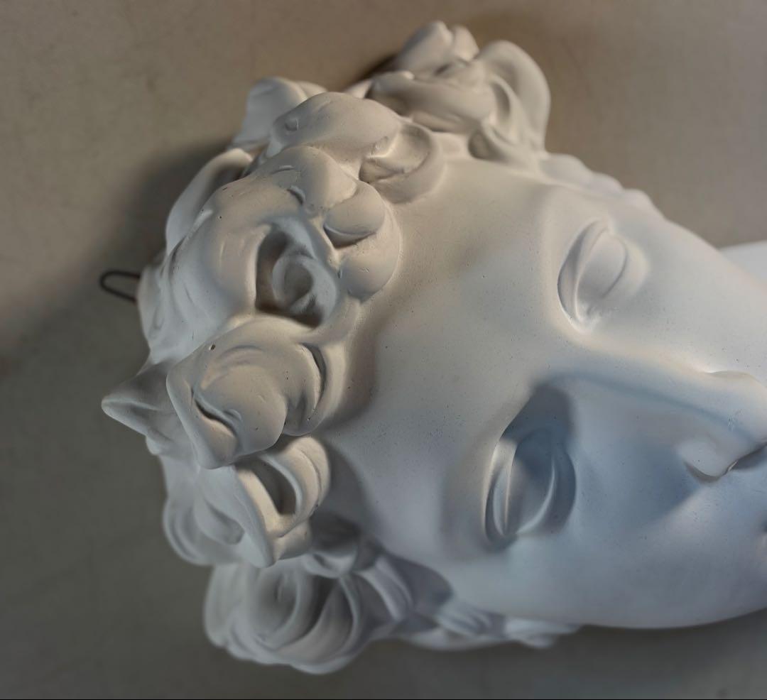 石膏像　メディチ　デッサン　半面像　美術　絵画　オブジェ　彫刻　アート