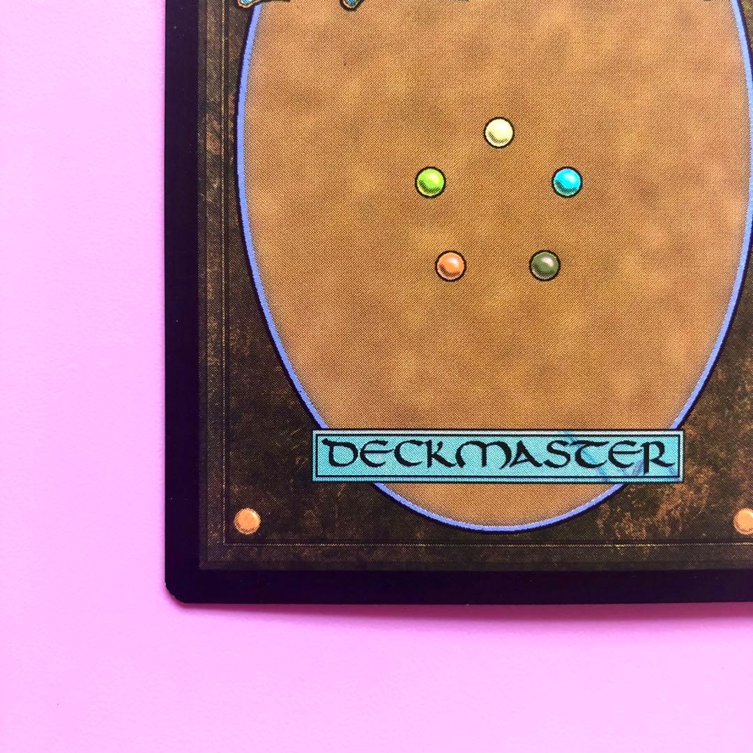 MTG 永劫の好奇心　ショーケース フラクチャーFoil 日本語