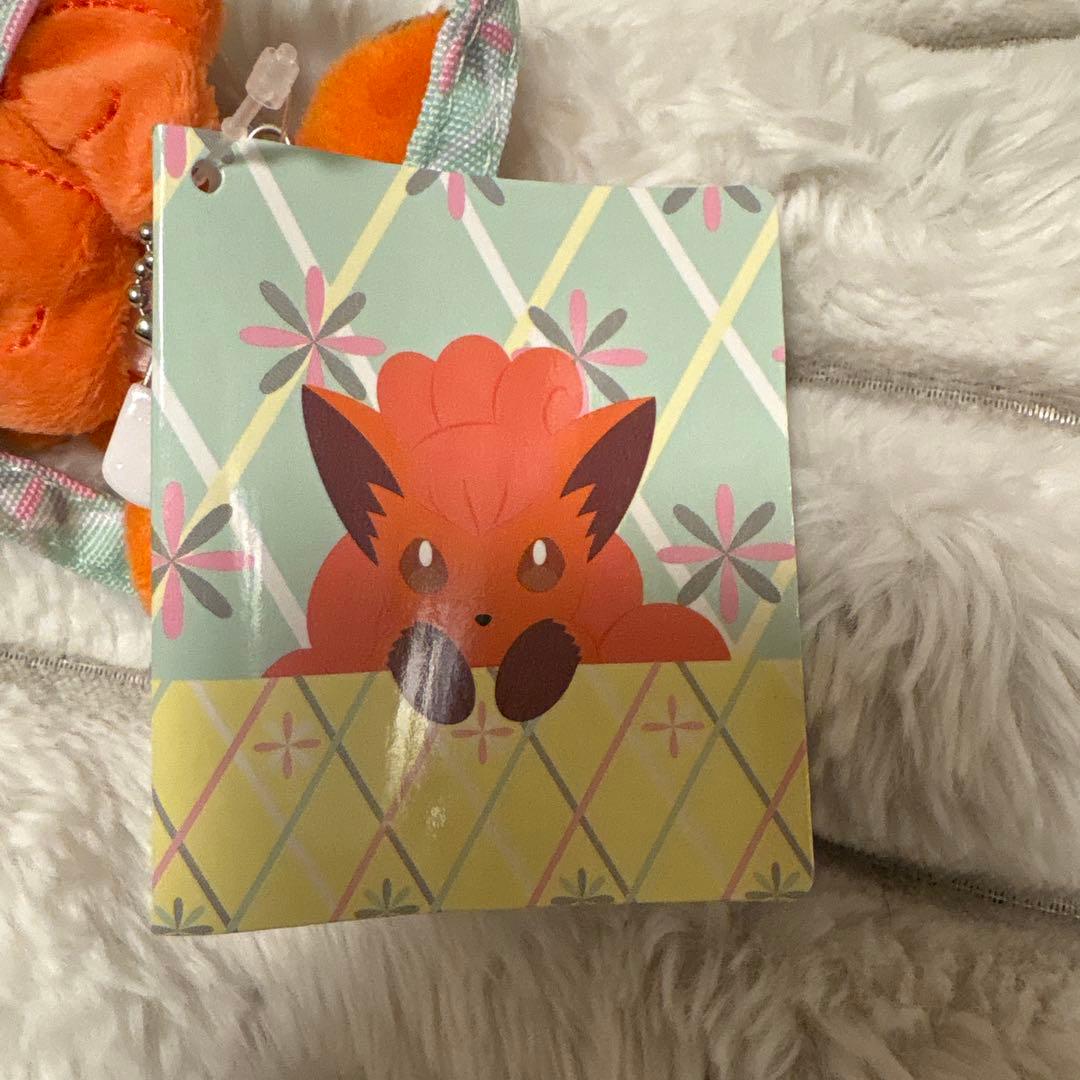 レア　ひょっこり　マスコット　ロコン　ぬいぐるみ ピンバッジ　ボールチェーン