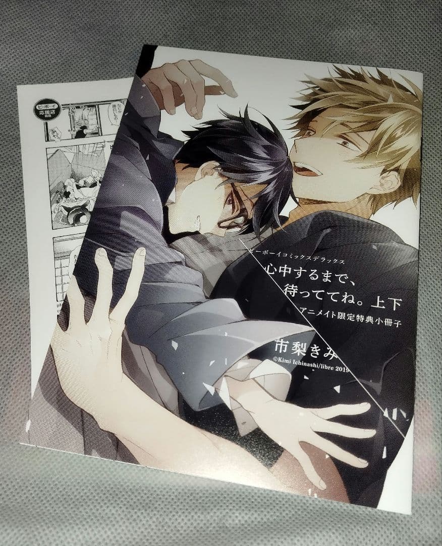 心中するまで、待っててね。　収納BOX　小冊子　特典ペーパー　市梨きみ