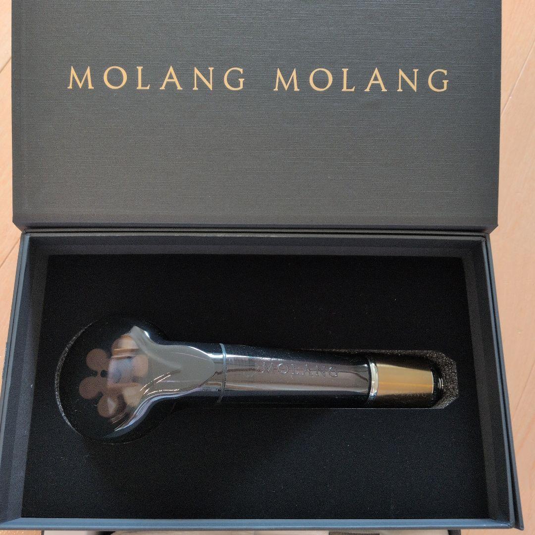 ジェンマジャパン　10周年記念イオナイザーシャワーヘッド