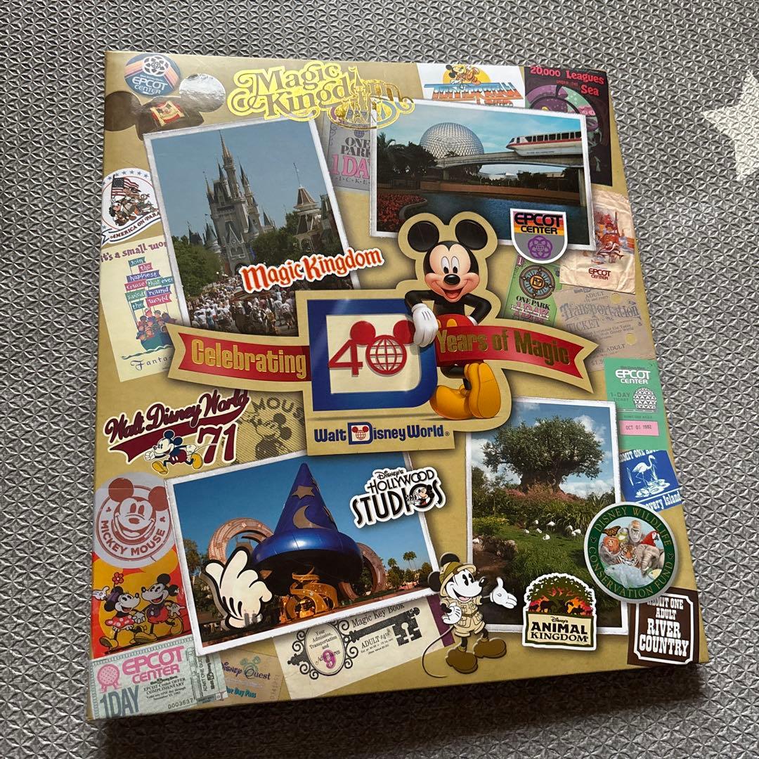 ディズニーワールド　限定ファイル