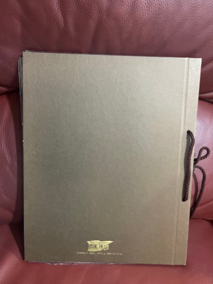 ワンピース　ONE PIECE 海賊団　ポートフォリオ