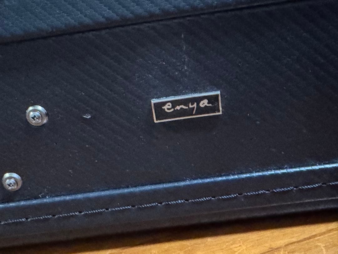 大幅値下げ中‼️ オリジナルハードケース付 ENYA X4 Pro