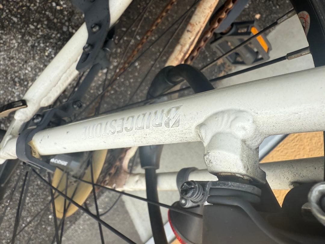 ニ*☆様 ブリヂストン　CYLVA F24 (シルヴァF24) ホワイト クロス