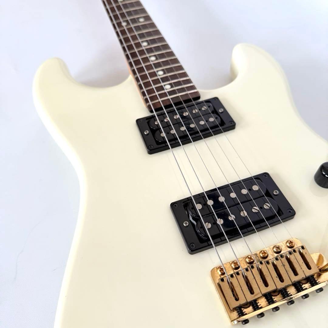【希少・美品】Fernandes Limited Edition フェルナンデス