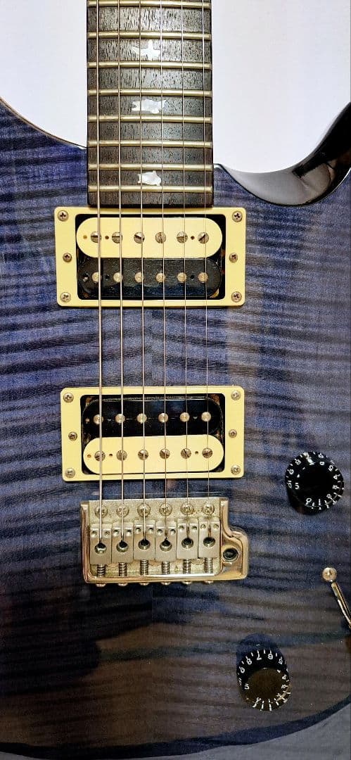 PRS SE ダークブルー エレキギター 本体ギターケース付きcustom24