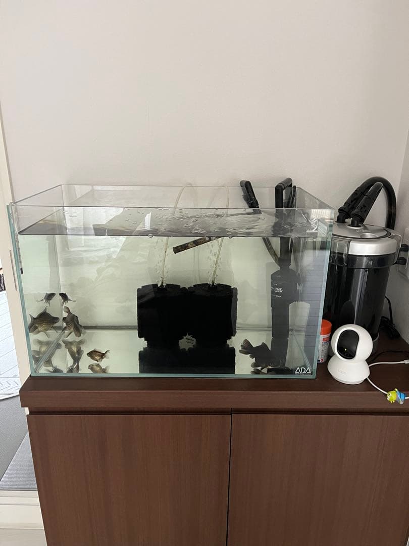 美品ADA 60センチ　水槽　外部フィルター付き