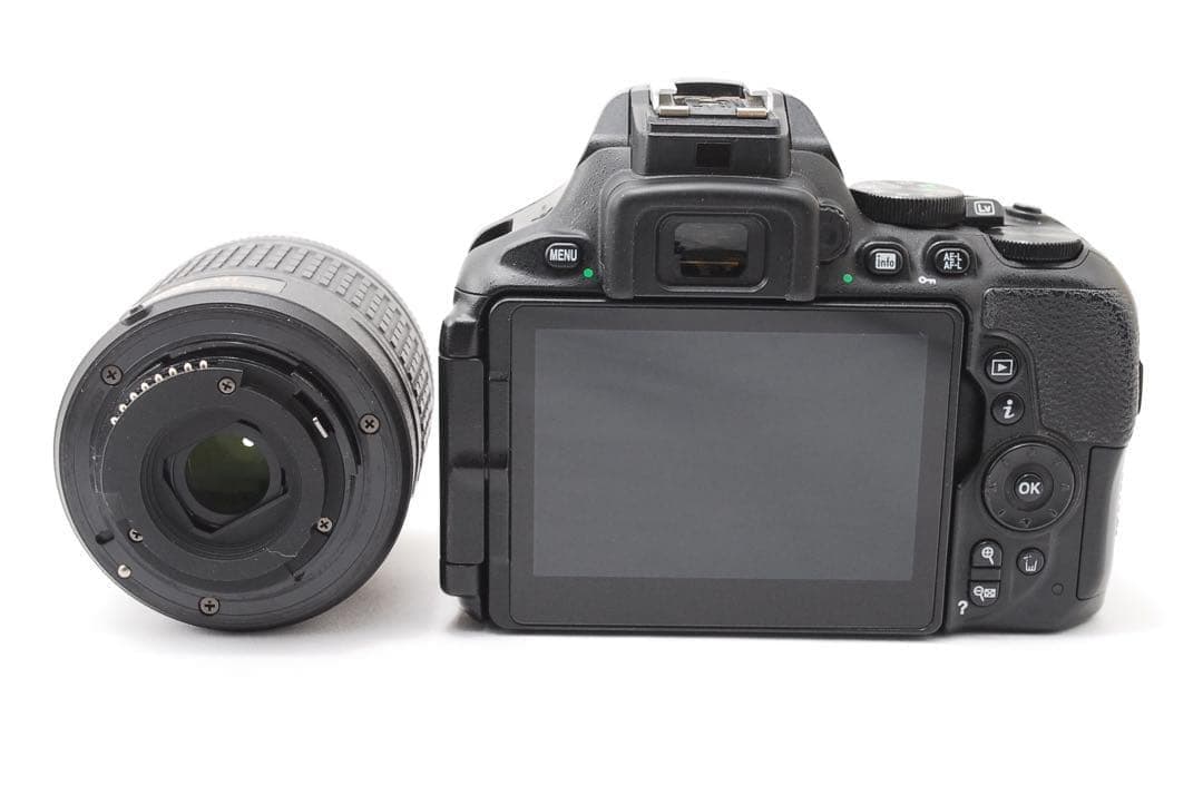 Nikon D5600 ダブルレンズ Wi-Fi搭載　スマホ転送　高画質　軽量