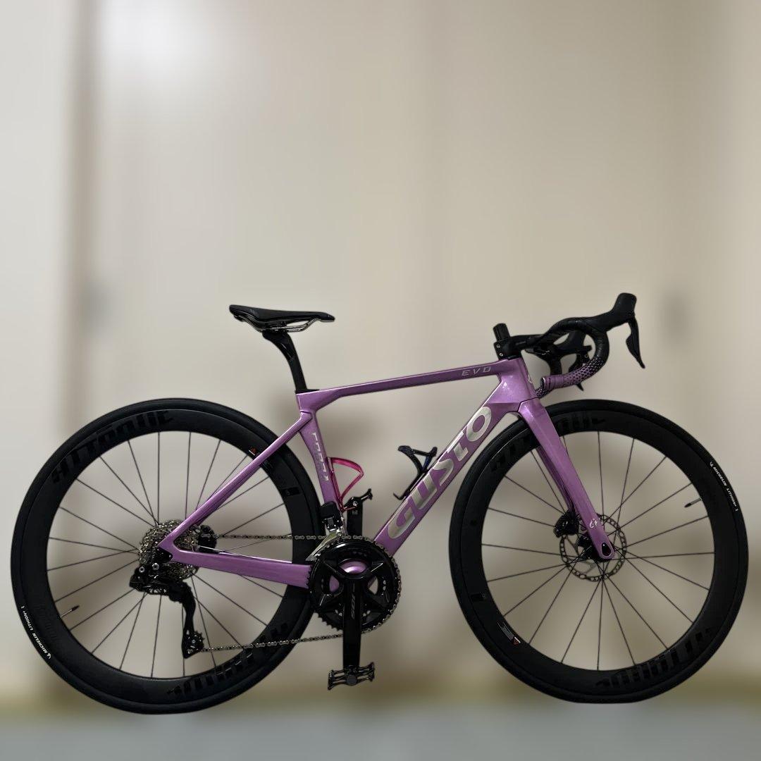 自転車本体 COBRA EVO DB SPORT TE