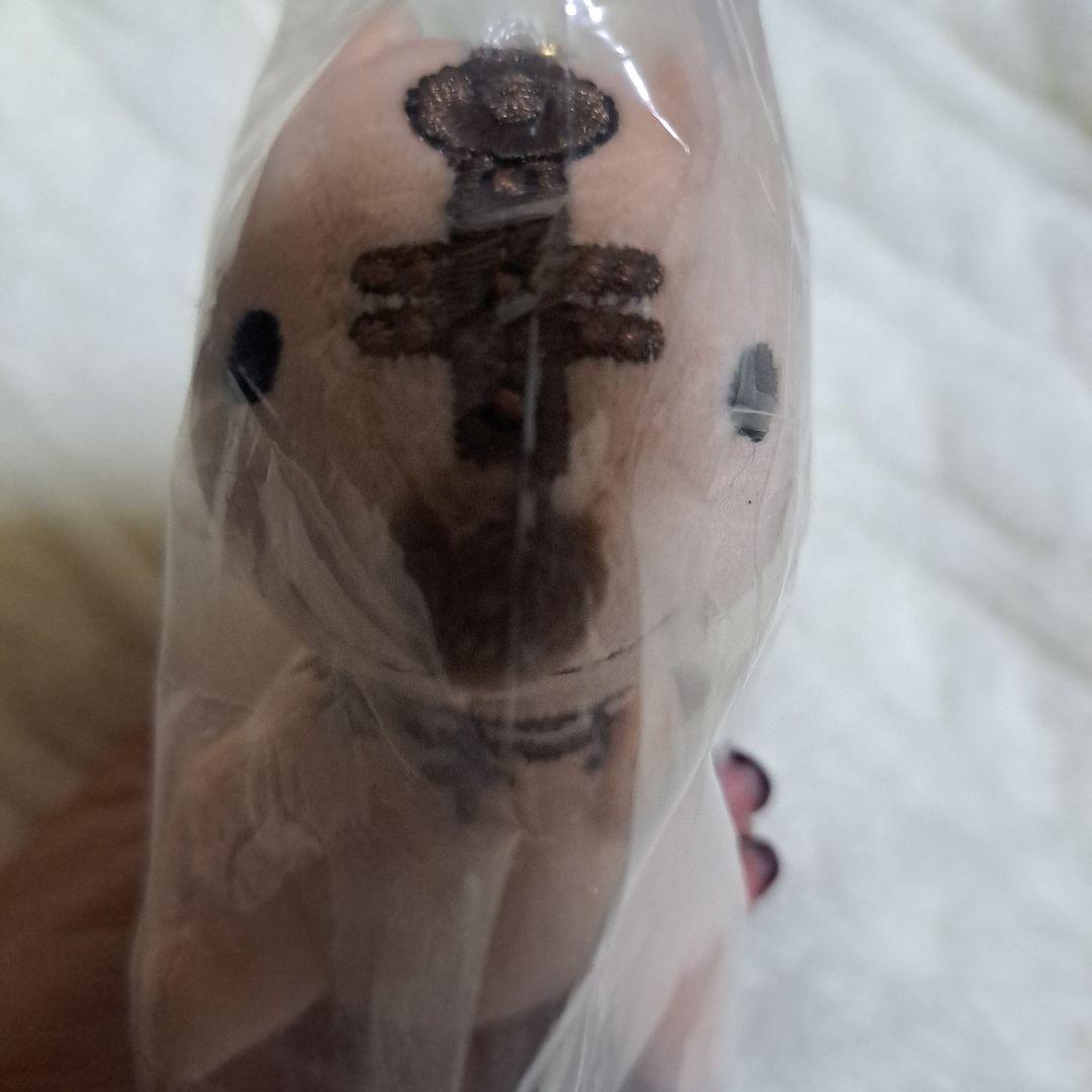 DIR EN GREY　ファラリスくん