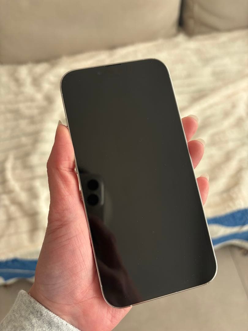 ディスプレイ交換済み美品Apple iPhone 13 Pro シルバー 本体