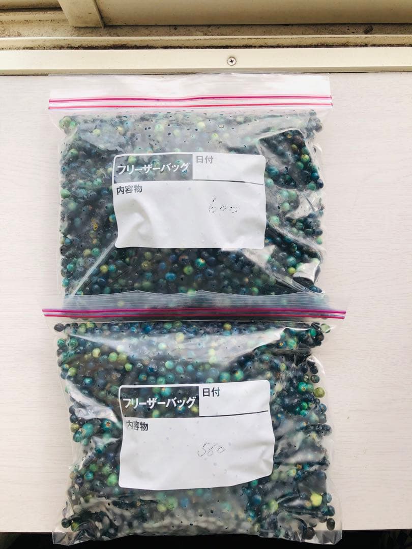 クサギの実　草木染め 合計1,160g