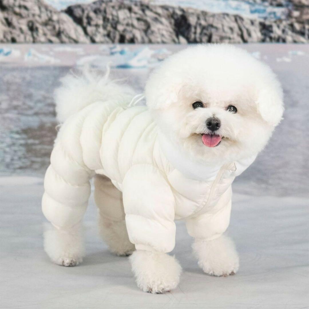 puppia パピア ベロアソフトオールインワンジャンパー　Sサイズ