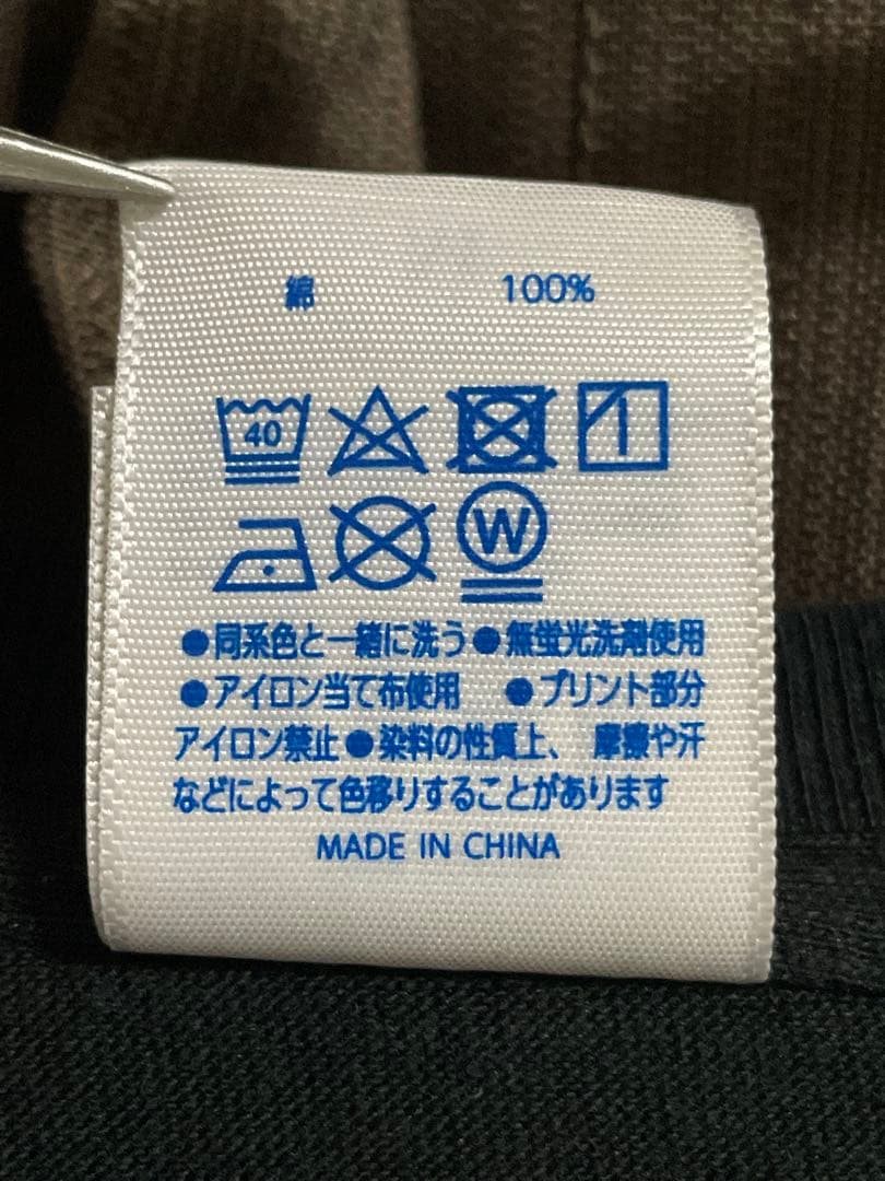 【美波】シンガーソングライター | インディーズ時代の限定Tシャツ【非売品】